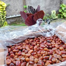 kurma khalas al saad