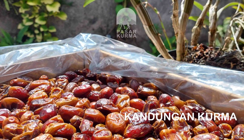 kandungan kurma