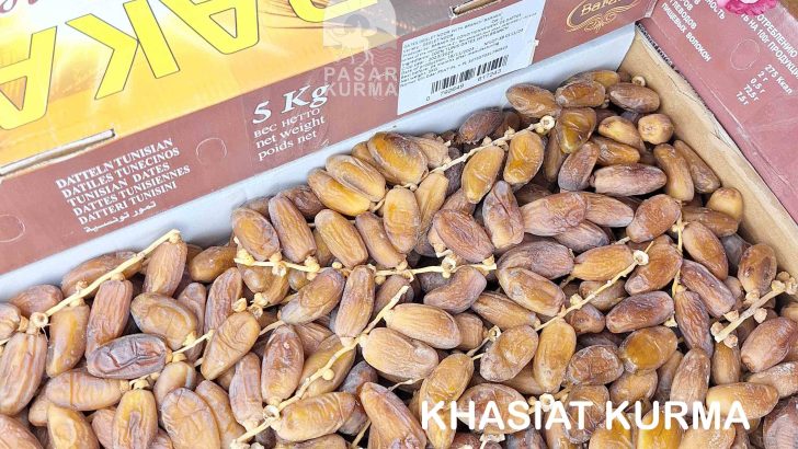 khasiat kurma